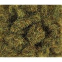 6mm Herbes d'été 20g