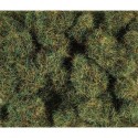 4mm Herbes d'été 20g