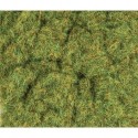 2mm Herbes de printemps 30g