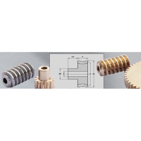 Vis sans fin module 0,5 laiton