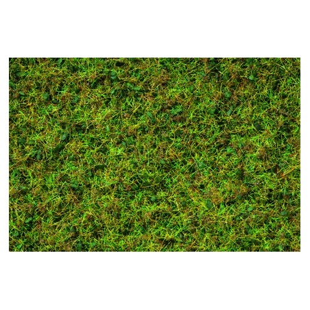 Master Mélange d´herbes: Pâturage de vaches. 6 mm de longueur, 50 g