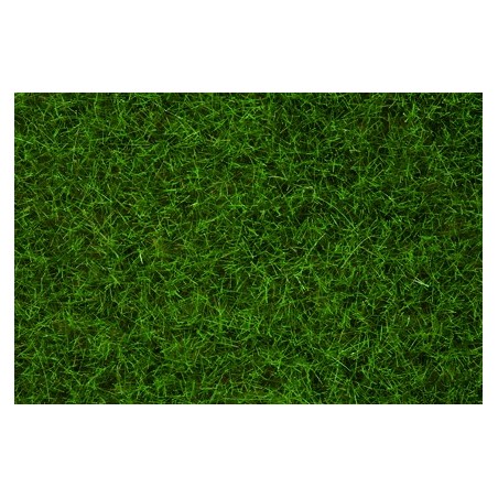 Herbes Sauvages Vert Clair. 6 mm, 50 g