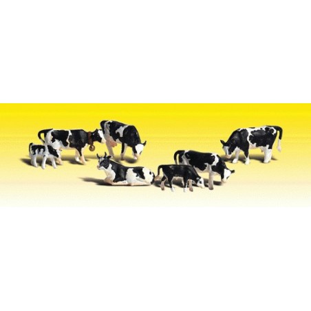 Vaches Holstein. 5 vaches et 2 veaux