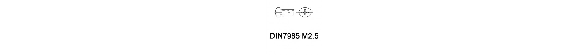 DIN7985 M2.5