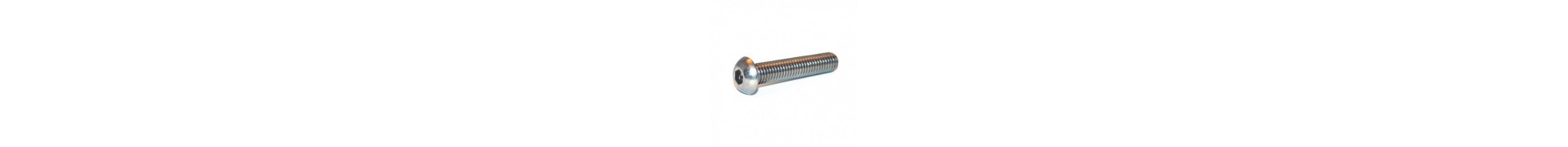 Vis ISO7380 INOX